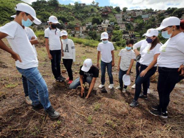 Durante el transcurso del proyecto se realizan diversas actividades, una de ellas es realizar reforestaciones en zonas de la capital que son áreas protegidas.