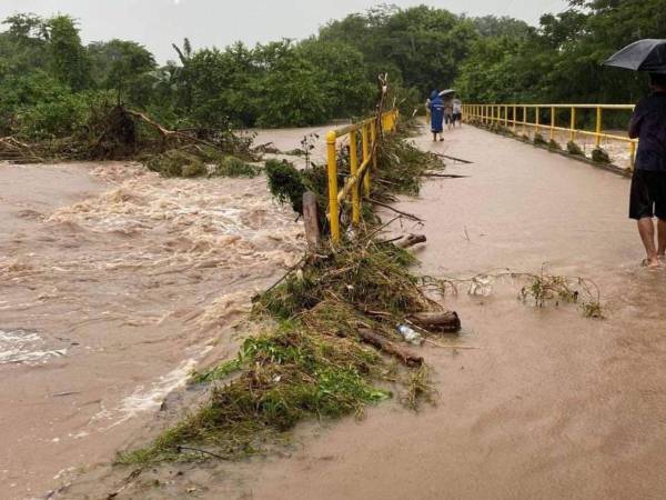 Dolor y destrucción han dejado las intensas lluvias en la zona sur del país.