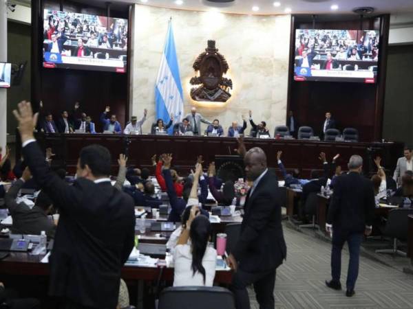 El proyecto de decreto de la Ley de Justicia Tributaria ha sido objeto de varios cambios que no han sido especificados y se harán públicos hasta que se someta a discusión ante el pleno del Congreso Nacional.