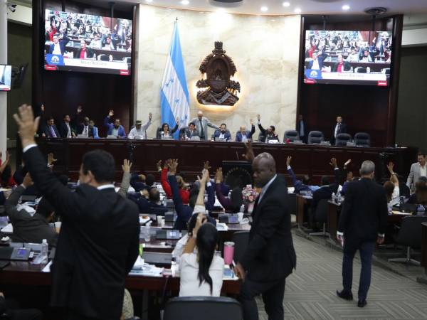 Los diputados del Congreso Nacional serán los que tendrán la última palabra en el debate y posible aprobación del dictamen que se presente de la Ley de Justicia Tributaria.