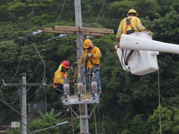 El mantenimiento se tiene programado para más de 200 sectores.