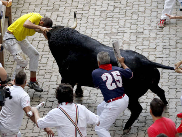 An 'El Pilar' fighting bull gores a reveler during the running of the bulls of the San Fermin festival, in Pamplona, Spain, Friday, July 12, 2013. Revelers from around the world arrive to Pamplona every year to take part on some of the eight days of the running of the bulls. (AP Photo/Daniel Ochoa de Olza)