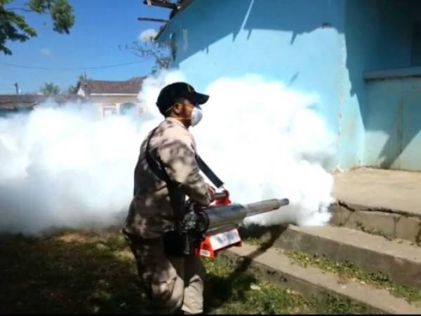 Miembros del Cuerpo de Bomberos, en conjunto con la Alcaldía municipal, la Comisión Permanente de Contingencias (Copeco), autoridades de la Secretaría de Salud comenzaron con el operativo.