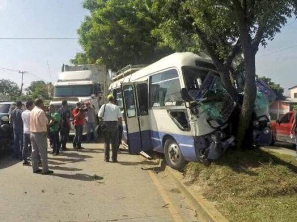 La unidad de transporte impactó contra un árbol.