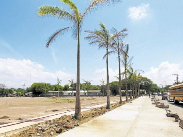 En los alrededores del local donde se construirá la plaza se pavimentaron las calles y se plantaron enormes palmeras.