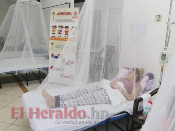 Una veintena de muertes sospechosas por dengue estarían por confirmarse en el país, mientras los nuevos casos siguen en aumento. Foto: Archivo/ EL HERALDO