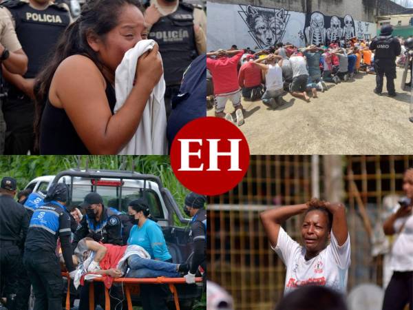 Un nuevo motín en una prisión en Ecuador dejó este lunes al menos 44 internos muertos y una decena de heridos, mientras que otro centenar de reclusos logró fugarse en medio de la violencia, que parece expandirse por las cárceles del país.