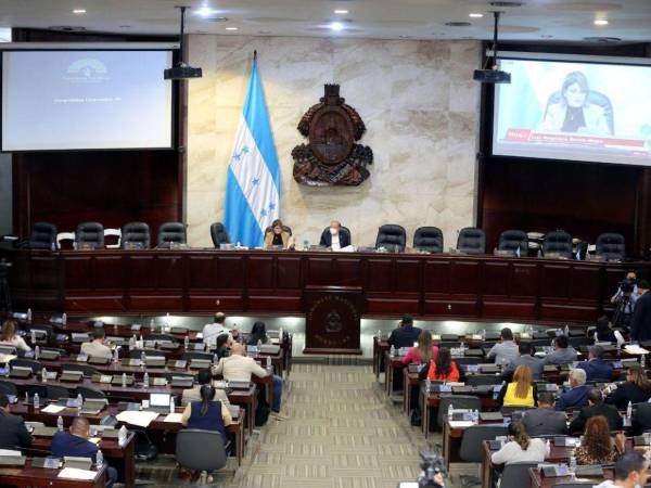 Directiva aún no define si mañana se retomarán las sesiones.