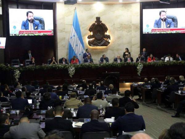 53 días faltan para celebrar las elecciones primarias del 9 de marzo de este año y el Congreso Nacional aún no llega a acuerdos en temas electorales.