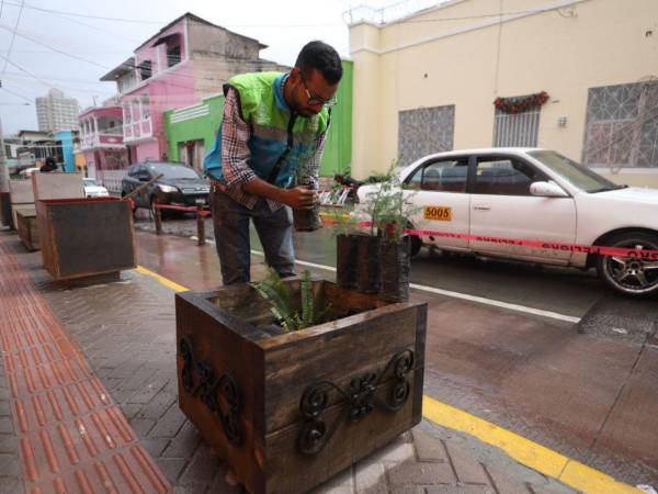 Las maceteras son de metal y madera, con flores , árboles y arbustos.