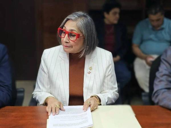 La diputada hace un llamado a defender la democracia frente a posibles amenazas de narcodictadura.