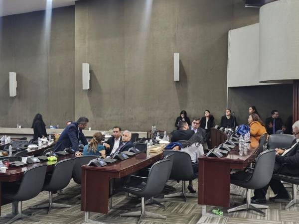 Después de nueve horas esperando el inicio de la sesión para la que fueron convocados a las 2:00 p.m., la mayoría de diputados de oposición se retiró de sus curules, pero no así del hemiciclo legislativo, donde permanecía este martes 17 de diciembre, al filo de las 11:00 de la noche. Los parlamentarios hicieron una serie de advertencias y dejaron claro su temor de un “madrugón”.