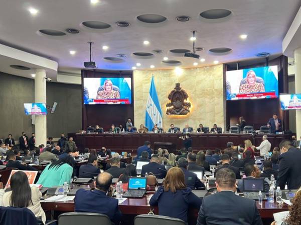 En manos del Congreso Nacional está de la decisión de aprobar o no los ascensos de los nuevos generales de brigada.