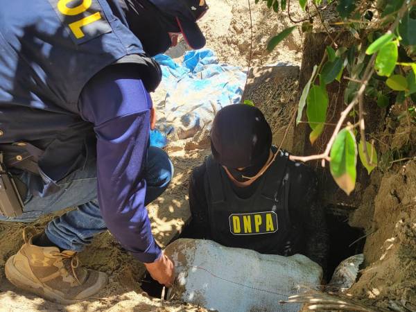 <b>Las a</b>utoridades hallaron este lunes un total de 14 fardos de clorhidrato de cocaína enterrados en la arena en Balabas, Santa Rosa de Aguán, Colón. El ilícito cargamento estaba bajo la arena -como tesoro pirata- en una caleta detalladamente trabajada. Aquí las imágenes del hallazgo.