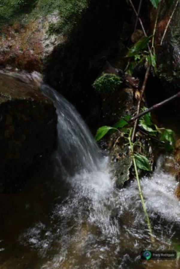 San Juancito, un legado de riqueza histórica y natural