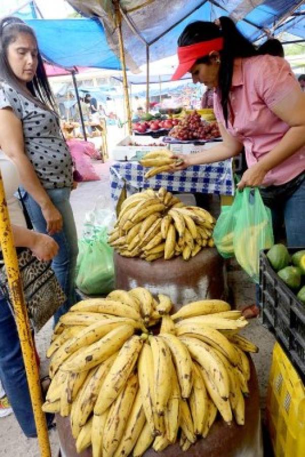 Un recorrido por la Feria del Agricultor y el Artesano