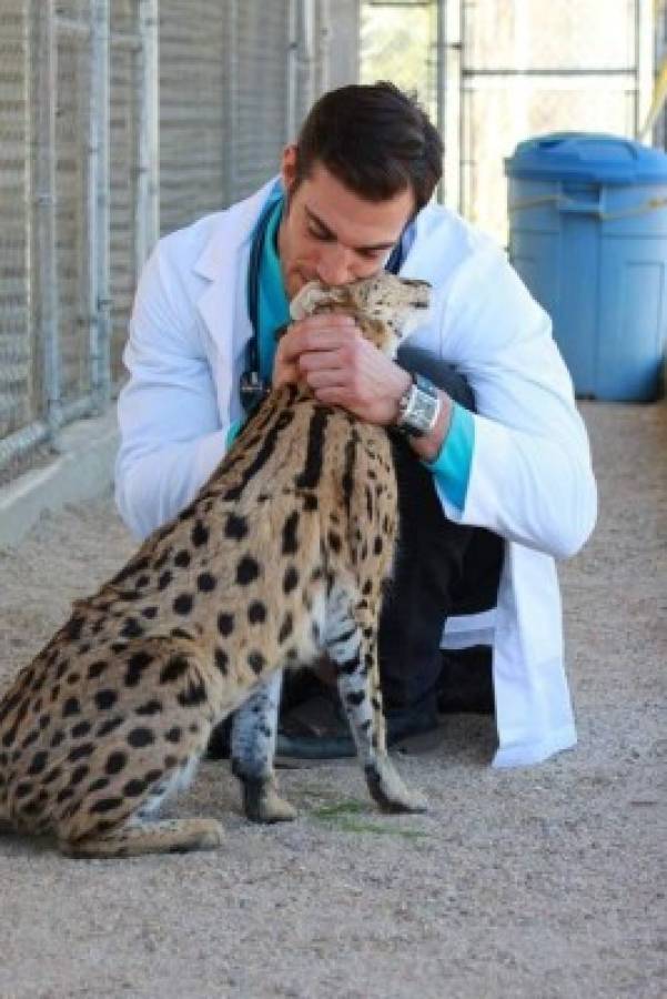 Guapísimo veterinario posa con animales y enamora a las redes