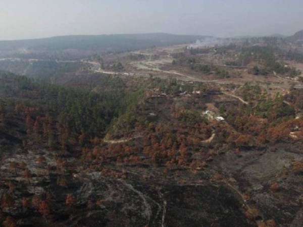 Esta zona devastada en Zambrano refleja el impacto de los incendios forestales. Adiós al rostro verde.