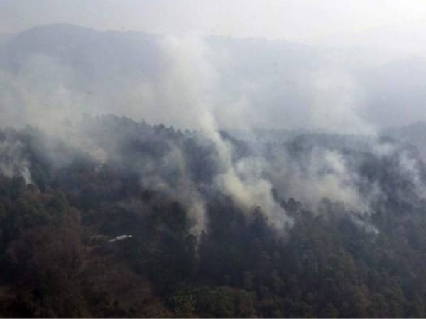 El cerro Canta Gallo, ubicado en el Distrito Central se encuentra activo un incendio de grandes proporciones que ha causado daños en cuantiosas hectáreas de bosque.