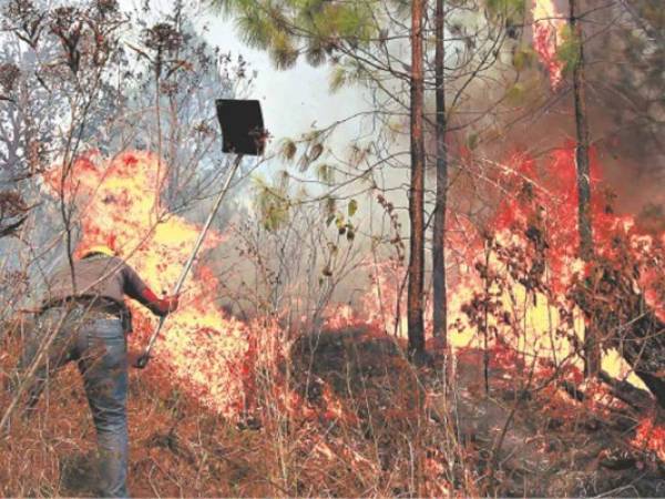 El Estado de Honduras gasta millones de lempiras en apagar incendios.