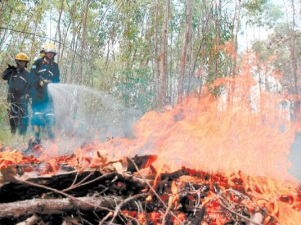 Hasta unos 12 mil galones se emplean para apagar el fuego en un incendio forestal, lo que equivale a 45 metros cúbicos de agua, una elevada cifra si se compara con los problemas de escasez de agua en la capital.