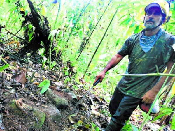 El equipo de EL HERALDO se internó en la selva para dar con algunos vestigios de Ciudad Blanca, descubierta por el cartógrafo Francisco Macoto Cruz.