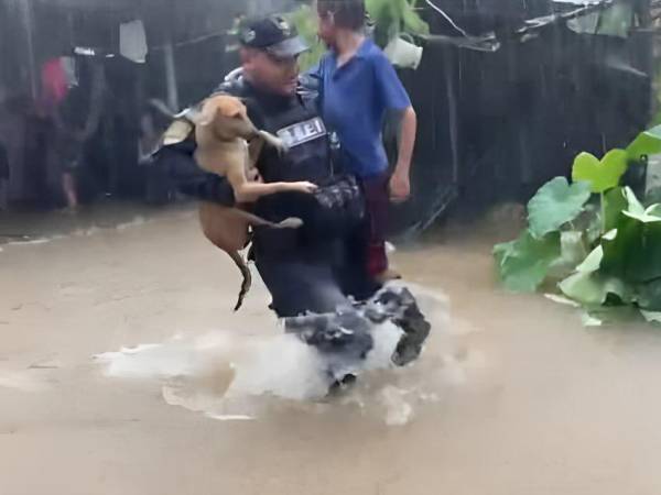 Elementos de la Policía Nacional apoyar las labores de evacuación en el municipio de Omoa, en el departamento de Cortés. La zona norte vive un completo caos.