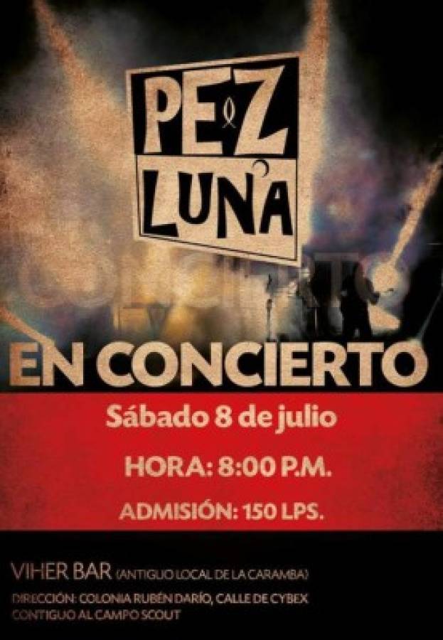 La agrupación Pez Luna tocará en el Viher Bar