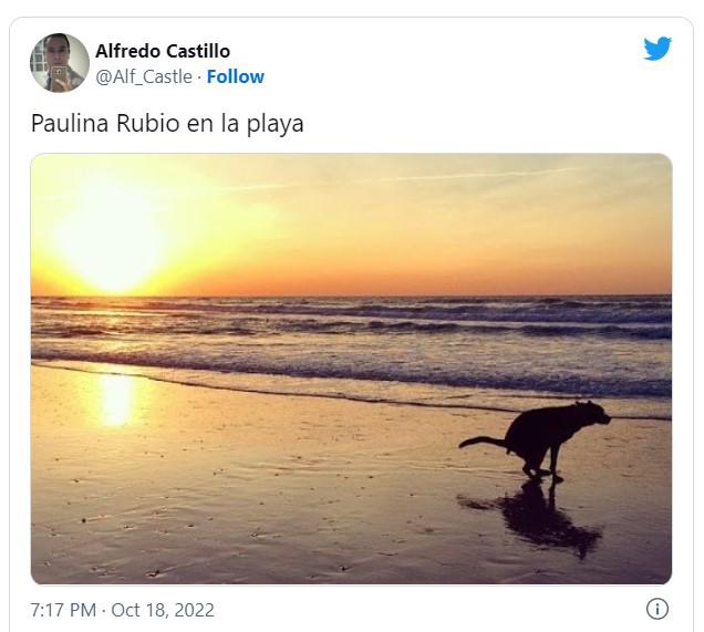 Destrozan con memes a Paulina Rubio tras ser captada en la playa