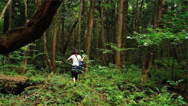 Desde demonios hasta dioses: Leyendas de lugares misteriosos a los que puedes viajar