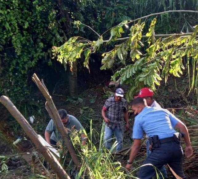 Las imágenes del desastre que cobró la vida de dirigente magisterial y su familia en San Francisco de Yojoa