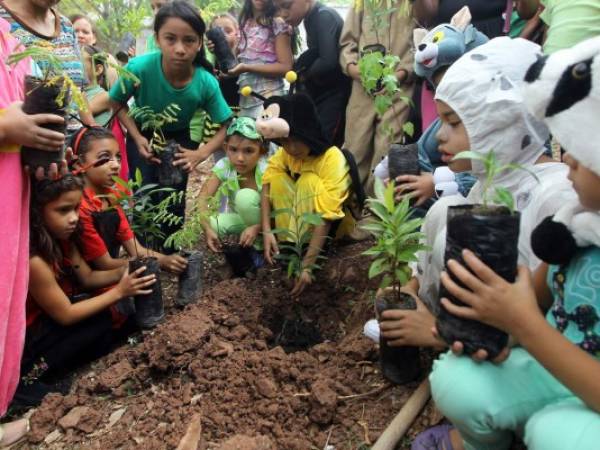 Con disfraces de animales, los pequeños reforestaron su escuela.