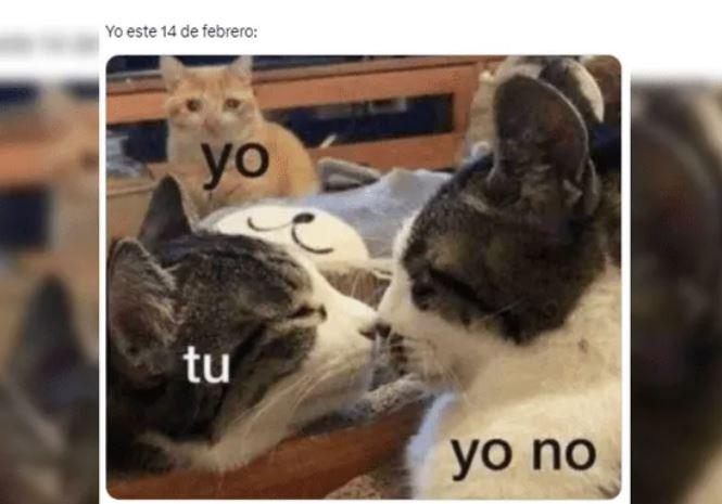 ¿El amor está en el aire? Los mejores memes por Día de San Valentín