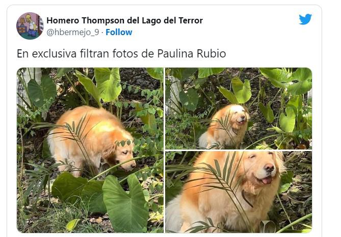 Destrozan con memes a Paulina Rubio tras ser captada en la playa