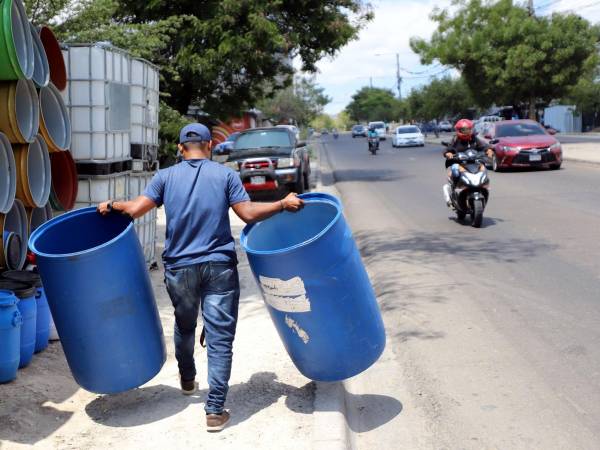 Pese a la demanda que existe en la compra de barriles, sus precios se mantienen hacia el alza.