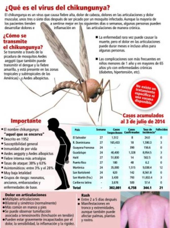 Alerta en Honduras por posible presencia de chikungunya