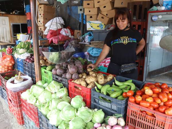 L. 2,150.02 es el costo per cápita de la canasta básica de alimentos, según cálculos extraoficiales con base en el monitoreo de precios del Banco Central de Honduras.