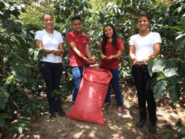 Los jóvenes y sus familias se dedican a la cosecha de café, esta es su única fuente de ingresos. La organización les apoya para que el producto pueda ser comprado en Estados Unidos. Foto: Marvin Salgado / El Heraldo.