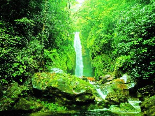 La admirable cascada Pico Bonito tiene una altura de 36 metros y para llegar a ella se debe recorrer dos horas de caminata.