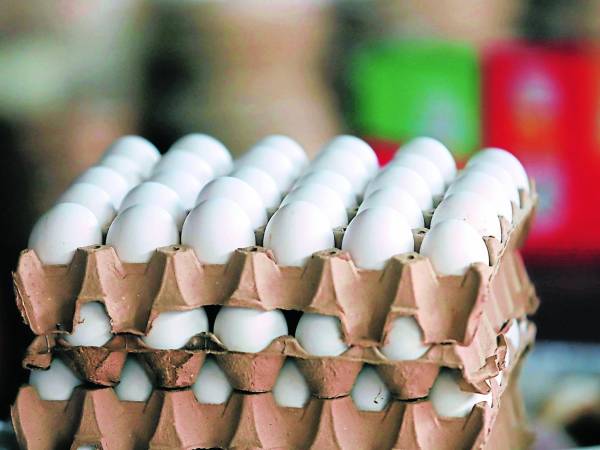 Los capitalinos por fin pueden conseguir huevos a bajos costos. Hace un mes se recibió la primera rebaja al precio del blanquillo en los mercados y ferias del agricultor. El huevo grande está a L105.