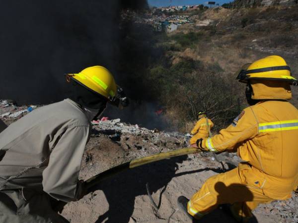 En horas de la mañana de este miércoles -1 de marzo- se reportó el incendio de una zacatera detrás de donde será la terminal de buses en el Mercado Perisur. El Cuerpo de Bomberos se trasladó hasta el lugar para sofocar las llamas por varios minutos. A continuación las impactantes imágenes.