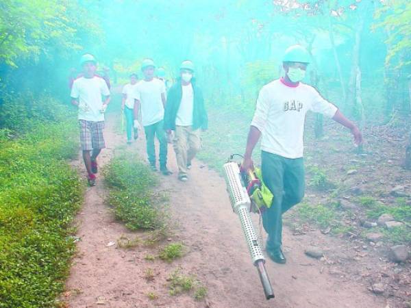 El personal de Salud realiza fumigaciones en barrios y colonias.