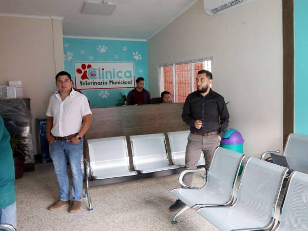 Al ingresar a las instalaciones de la clínica veterinaria está la recepción y la área de espera.