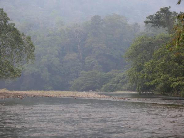 La Unidad Investigativa de EL HERALDO Pius visitó la Reserva de la Biosfera del Río Plátano encontrando severos daños por la deforestación