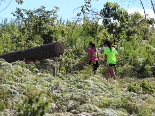 Los hermosos paisajes son un plus para quienes realizan el senderismo (Foto: Marvin Salgado/EL HERALDO)