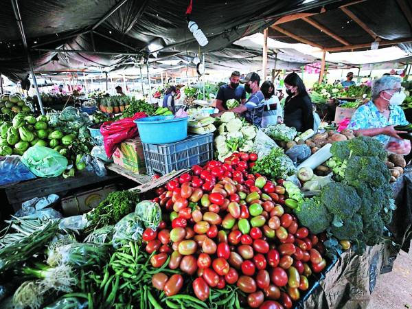 Unas 17 verduras y legumbres también subieron sus costo en los mercados. El repollo vale 10 lempiras más que la semana pasada.