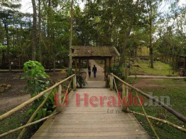 Los ciudadanos que decidan quedarse en la capital de Honduras durante Semana Santa pueden disfrutar de una diversidad de actividades en compañía de amigos y familiares. Un recorrido en el Zoológico Rosy Walther es una de las primeras invitaciones que no puedes rechazar. Fotos: EL HERALDO