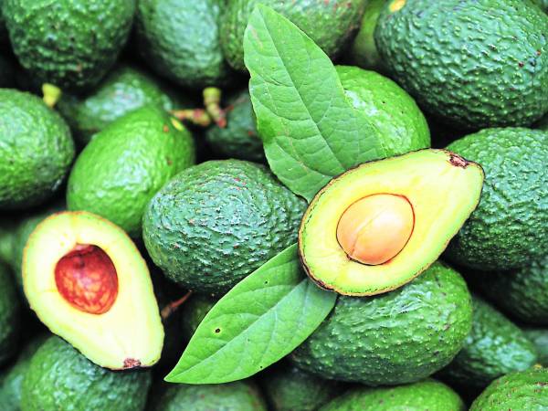 Los alimentos ricos en grasas insaturadas son necesarios para que las funciones del cerebro se realicen correctamente. El aguacate es uno de los alimentos que también debe incluir en su dieta.