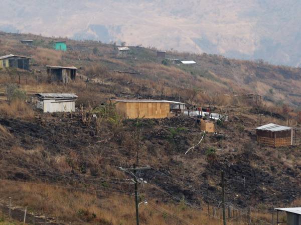 Madera y lámina de zinc son los materiales que predominan para la instalación de casas en asentamientos informales.