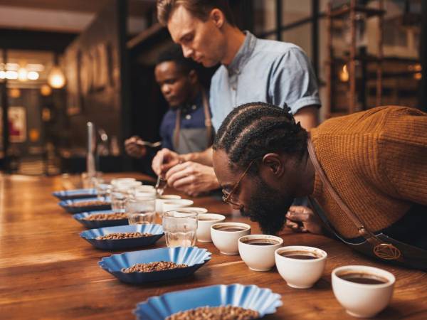 <i>Durante este certamen, productores de café de diferentes regiones presentan sus mejores lotes, los cuales son evaluados por un panel de catadores expertos.</i>